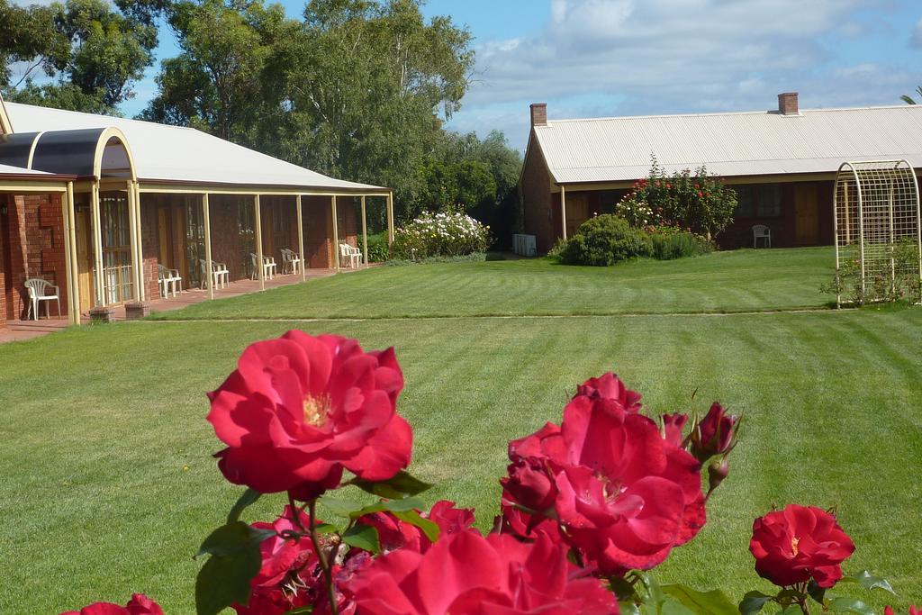 Coonawarra Place Motor Inn Exterior foto