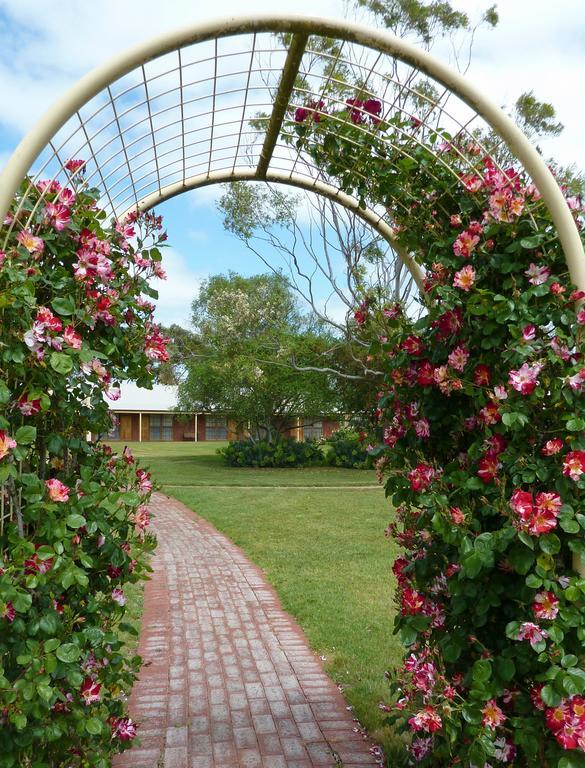 Coonawarra Place Motor Inn Exterior foto