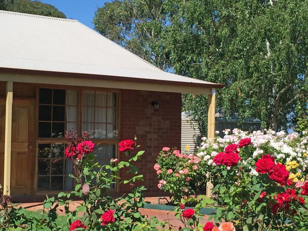 Coonawarra Place Motor Inn Exterior foto