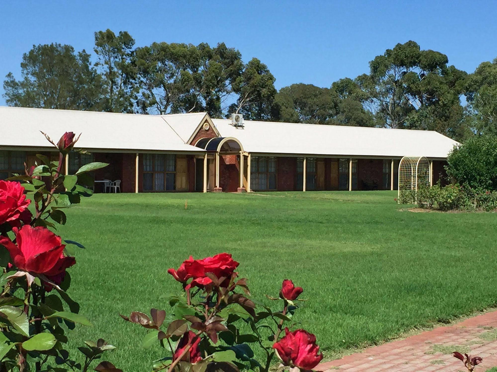 Coonawarra Place Motor Inn Exterior foto