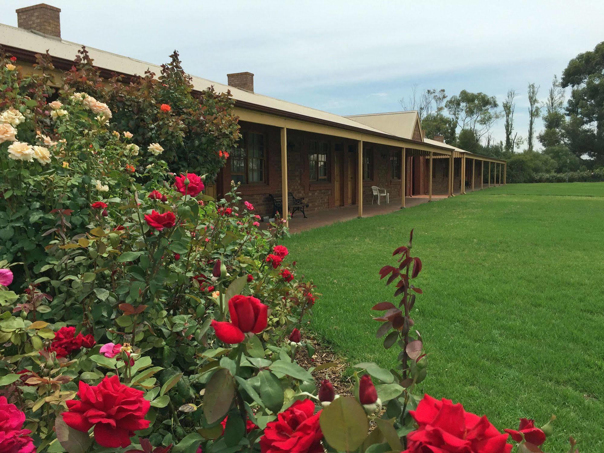 Coonawarra Place Motor Inn Exterior foto