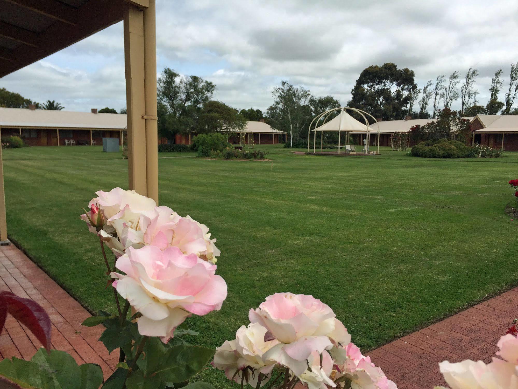 Coonawarra Place Motor Inn Exterior foto